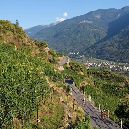 Terra Del Sole